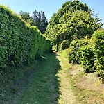 Terre - Le - Sart