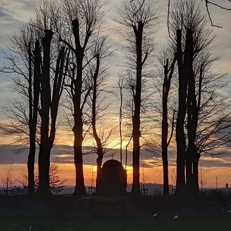 Terre - Le - Sart Neufchâteau