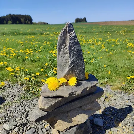 Lägenhet Terre - Le - Sart Neufchâteau